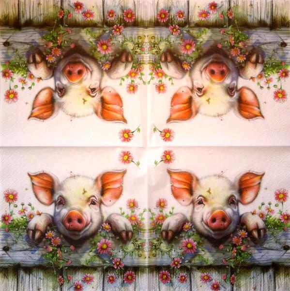 080 Pigs - 3-ply - Nouveau
